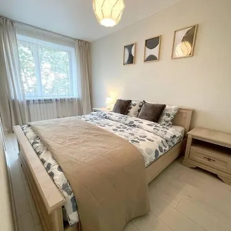 New Modern In The Center Apartament