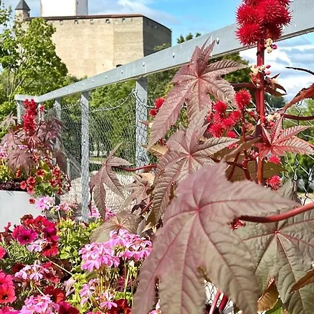 New Modern In The Center *