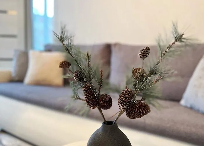 New Modern In The Center نارفا