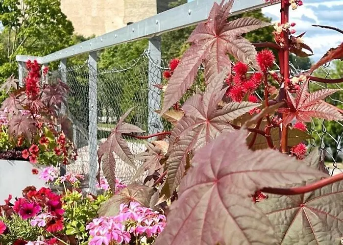 New Modern In The Center *